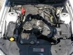 2014 Ford Mustang  for Sale in Taylor, TX - Hail