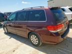 2008 Honda Odyssey Exl na sprzedaż w Haslet, TX - Hail