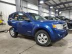 2008 Ford Escape Xlt en Venta en Ham Lake, MN - All Over