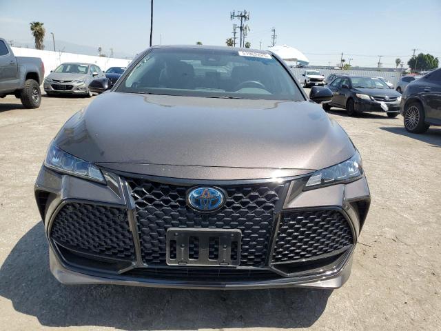  TOYOTA AVALON 2020 Brown