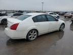 Wilmer, TX에서 판매 중인 2006 Nissan Maxima Se - All Over