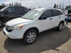 2011 HONDA CR-V LX for sale at Copart ON - TORONTO