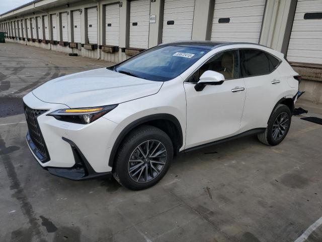 LEXUS NX 350H BA 2024