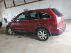 2009 Honda Cr-V Ex للبيع في Lexington، KY - Rear End