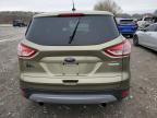 2013 Ford Escape Se   იყიდება Cahokia Heights-ში, IL - Hail