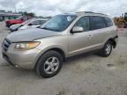 2007 Hyundai Santa Fe Gls de vânzare în Harleyville, SC - Side