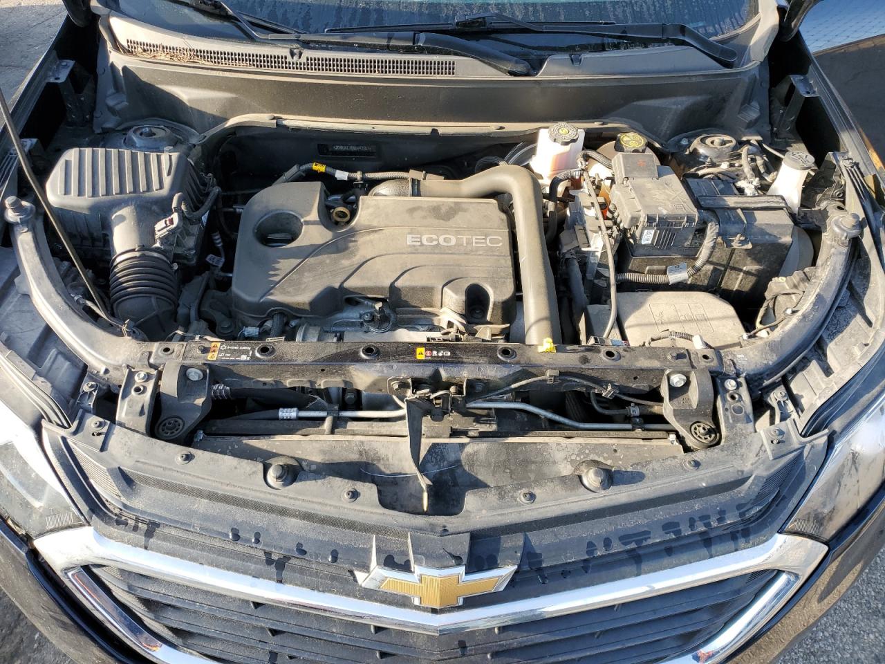2021 Chevrolet Equinox Lt VIN: 2GNAXKEV0M6142157 Lot: 53597005