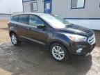2019 Ford Escape Se for Sale in Bismarck, ND - Minor Dent/Scratches