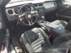 2013 Ford Mustang  zu verkaufen in Apopka, FL - Front End
