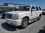 2005 Cadillac Escalade Luxury продається в Earlington, KY - Hail