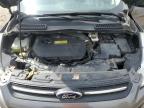 2014 Ford Escape Se en Venta en Fort Wayne, IN - Hail