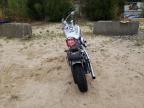 2005 Harley-Davidson Fxsti  للبيع في China Grove، NC - All Over