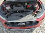 2024 Ford Escape St Line for Sale in Memphis, TN - All Over