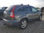 2010 Honda Cr-V Ex for Sale in Walton, KY - Front End