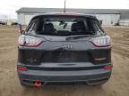 2019 Jeep Cherokee Trailhawk на продаже в Davison, MI - Top/Roof