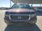 2011 Honda Ridgeline Rtl იყიდება Anthony-ში, TX - Hail