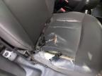 2019 RENAULT KANGOO BUS for sale at Copart CASTLEDERMOT - IRELAND