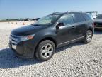 2014 Ford Edge Sel for Sale in Temple, TX - Hail