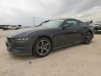 2024 Ford Mustang  for Sale in Andrews, TX - Rear End