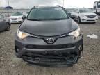 2016 Toyota Rav4 Xle for Sale in Lawrenceburg, KY - Front End