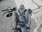Exeter, RI에서 판매 중인 2009 Harley-Davidson Xl1200 N - Side