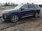 2022 Hyundai Palisade Sel de vânzare în Finksburg, MD - All Over