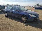 2003 Honda Accord Ex за продажба в Brighton, CO - Rear End