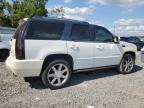 2013 Cadillac Escalade Premium იყიდება Riverview-ში, FL - Minor Dent/Scratches