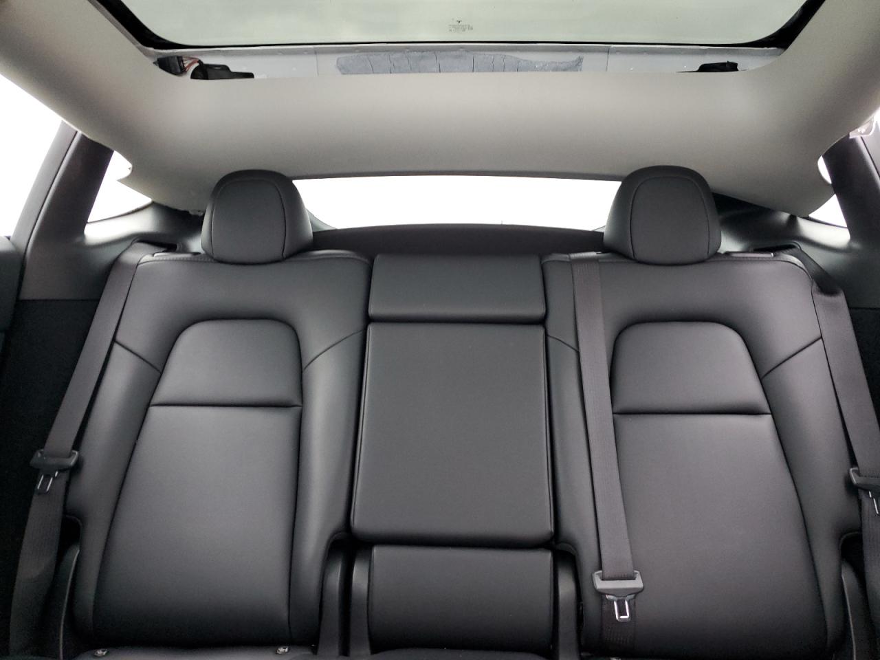 2024 Tesla Model Y VIN: 7SAYGDEE1RF191665 Lot: 53955025