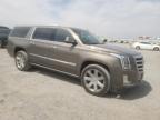 2016 Cadillac Escalade Esv Premium იყიდება Earlington-ში, KY - Hail