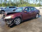 2008 Honda Accord Exl zu verkaufen in Harleyville, SC - Front End