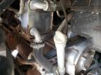 2024 CF MOTO UFORCE 1000   for sale at Copart NM - ALBUQUERQUE