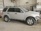 2012 Ford Escape Xlt for Sale in Columbia, MO - Front End