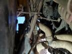 2021 Polaris Rzr Xp Turbo for Sale in Hurricane, WV - Rollover