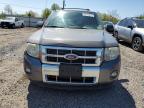 2011 Ford Escape Limited للبيع في Hillsborough، NJ - Minor Dent/Scratches