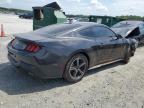 Spartanburg, SC에서 판매 중인 2024 Ford Mustang  - All Over