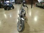2008 Harley-Davidson Xl883 C for Sale in Dallas, TX - All Over