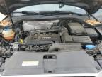 2016 Audi Q3 Premium Plus на продаже в San Antonio, TX - Hail