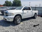 2011 Dodge Ram 1500  იყიდება Apopka-ში, FL - All Over