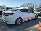 2011 Kia Optima Hybrid for Sale in Arlington, WA - Front End