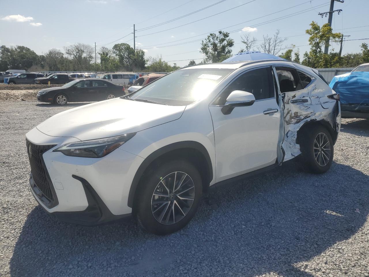 2025 Lexus Nx 350H Base zu verkaufen in Riverview, FL - Side