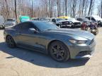 2015 Ford Mustang  zu verkaufen in East Granby, CT - Rear End