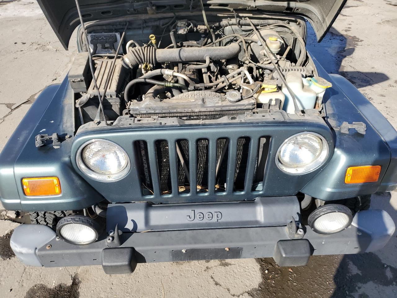 2003 Jeep Wrangler / Tj Sahara VIN: 1J4FA59SX3P302622 Lot: 52756105