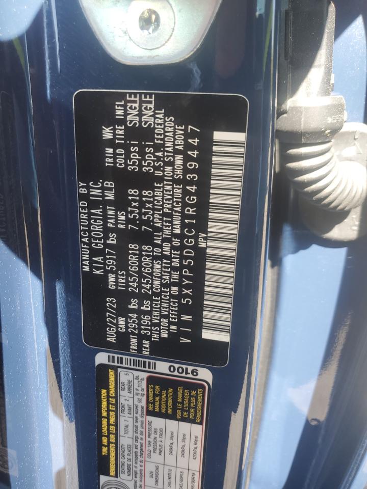 2024 Kia Telluride Sx VIN: 5XYP5DGC1RG439447 Lot: 52987835