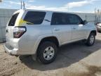 2024 Toyota 4Runner Sr5 Premium na sprzedaż w Littleton, CO - Rear End