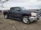 2012 Chevrolet Silverado K1500 Lt na sprzedaż w Baltimore, MD - Front End