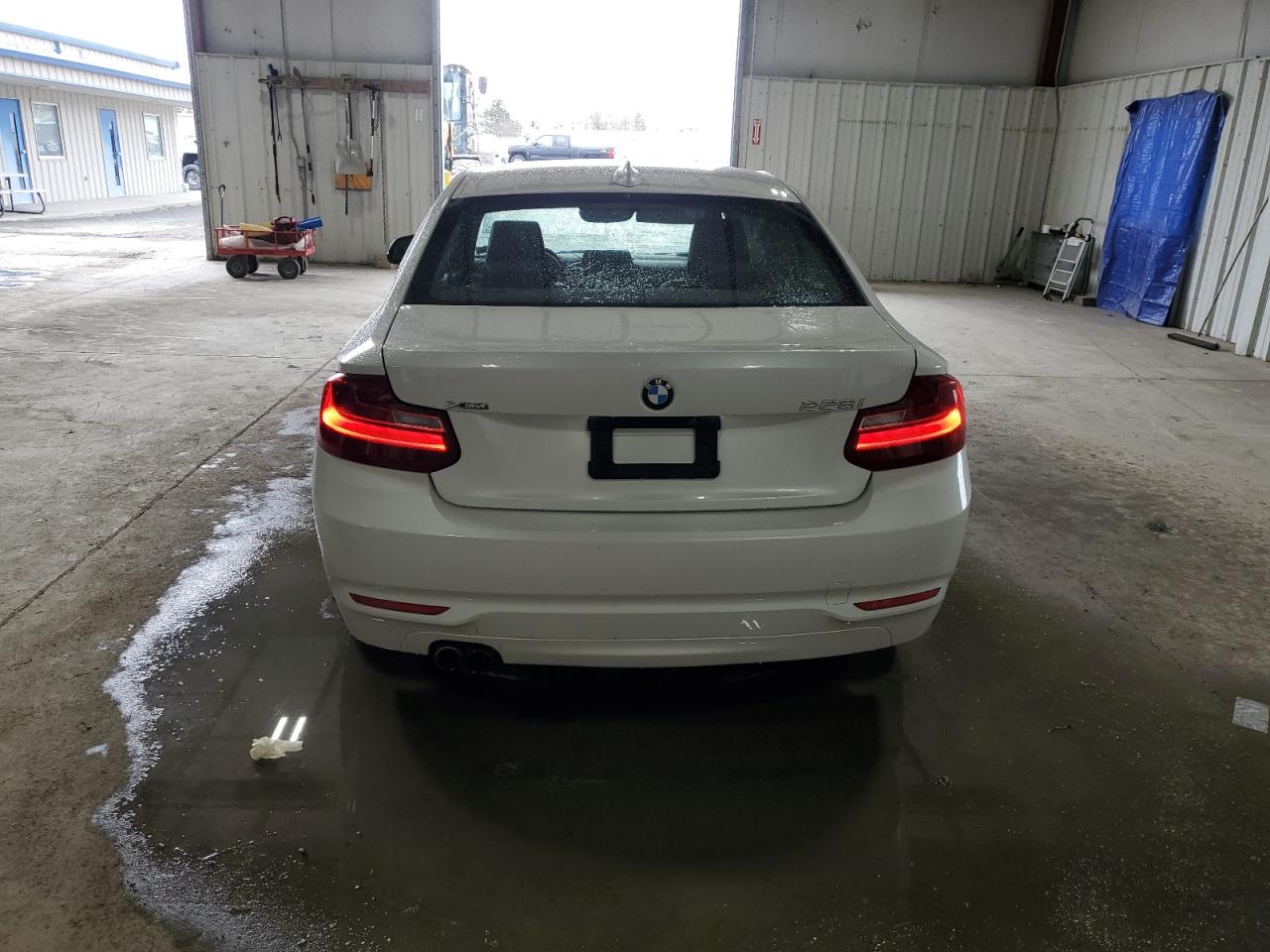 2015 BMW 228 Xi Sulev VIN: WBA1G9C57FVX96900 Lot: 53186835