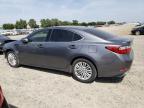 2015 Lexus Es 350 იყიდება Sacramento-ში, CA - Front End