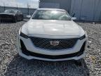 2022 Cadillac Ct5 Premium Luxury for Sale in Apopka, FL - Minor Dent/Scratches