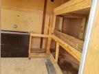 2022 American Enclosed Cargo Trailer იყიდება New Braunfels-ში, TX - Hail